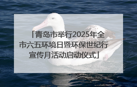 青岛市举行2025年全市六五环境日暨环保世纪行宣传月活动启动仪式
