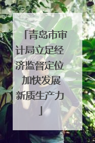 青岛市审计局立足经济监督定位 加快发展新质生产力