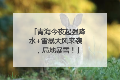 青海今夜起强降水+雷暴大风来袭，局地暴雪！