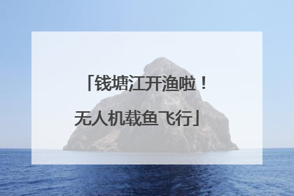 钱塘江开渔啦！无人机载鱼飞行