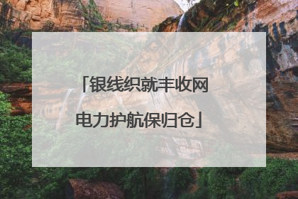 银线织就丰收网 电力护航保归仓
