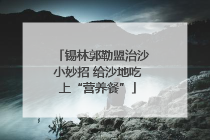 锡林郭勒盟治沙小妙招 给沙地吃上“营养餐”