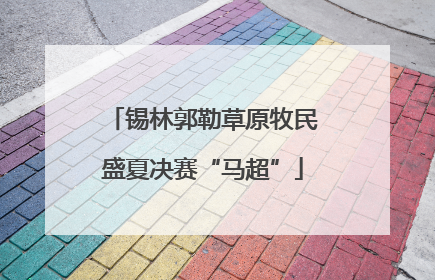 锡林郭勒草原牧民盛夏决赛“马超”