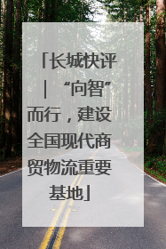长城快评｜“向智”而行，建设全国现代商贸物流重要基地