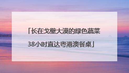 长在戈壁大漠的绿色蔬菜38小时直达粤港澳餐桌