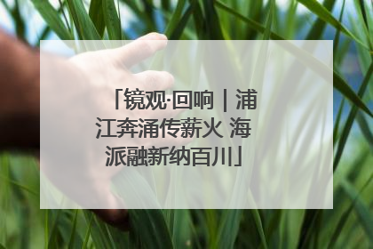 镜观·回响｜浦江奔涌传薪火 海派融新纳百川