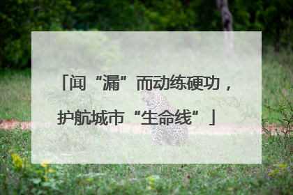 闻“漏”而动练硬功，护航城市“生命线”