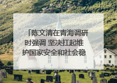 陈文清在青海调研时强调 坚决扛起维护国家安全和社会稳定职责使命 为谱写中国式现代化青海篇章贡献政法力量