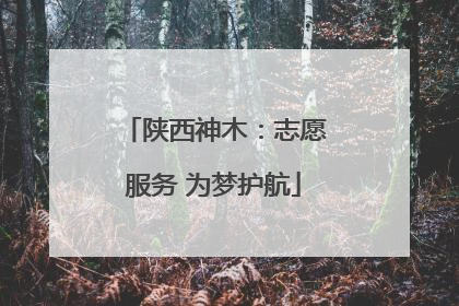 陕西神木：志愿服务 为梦护航