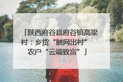 陕西府谷县府谷镇高梁村：乡货“触网出村” 农户“云端致富”