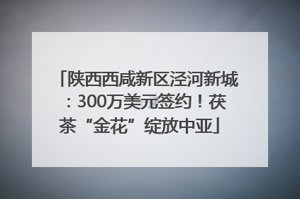 陕西西咸新区泾河新城：300万美元签约！茯茶“金花”绽放中亚