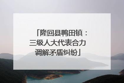 隆回县鸭田镇：三级人大代表合力调解矛盾纠纷