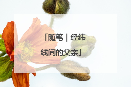 随笔｜经纬线间的父亲