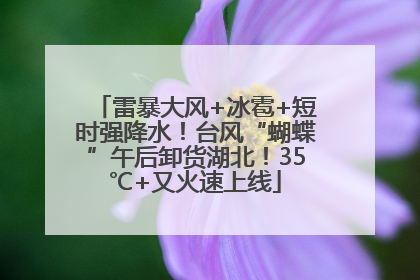 雷暴大风+冰雹+短时强降水！台风“蝴蝶”午后卸货湖北！35℃+又火速上线