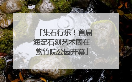 集石行乐！首届海淀石刻艺术周在紫竹院公园开幕