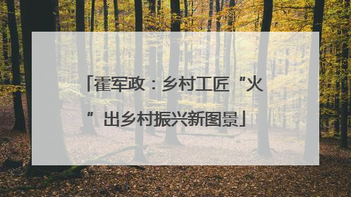 霍军政：乡村工匠“火”出乡村振兴新图景