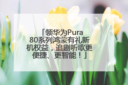 领华为Pura 80系列鸿蒙有礼新机权益，追剧听歌更便捷、更智能！
