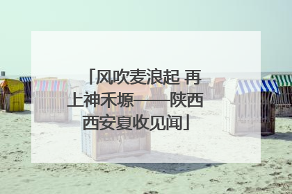 风吹麦浪起 再上神禾塬——陕西西安夏收见闻