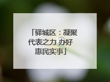 驿城区：凝聚代表之力 办好惠民实事