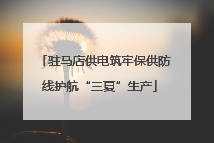 驻马店供电筑牢保供防线护航“三夏”生产