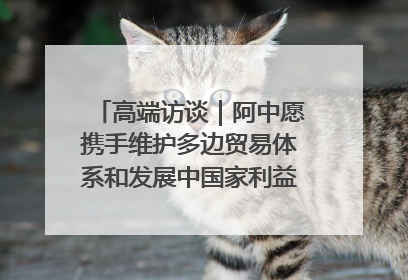高端访谈｜阿中愿携手维护多边贸易体系和发展中国家利益——访阿拉伯议会议长亚马希