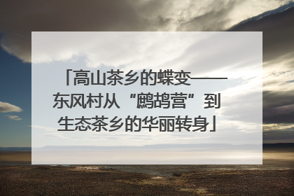 高山茶乡的蝶变——东风村从“鹧鸪营”到生态茶乡的华丽转身