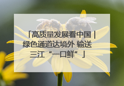 高质量发展看中国｜绿色通道达境外 输送三江“一口鲜”