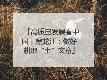 高质量发展看中国｜黑龙江：做好耕地“土”文章