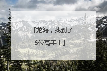 龙海，找到了6位高手！