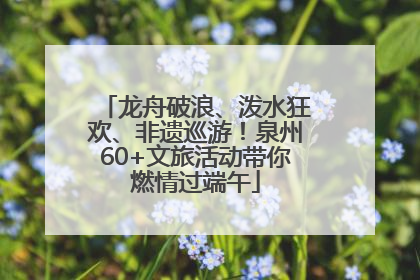 龙舟破浪、泼水狂欢、非遗巡游！泉州60+文旅活动带你燃情过端午