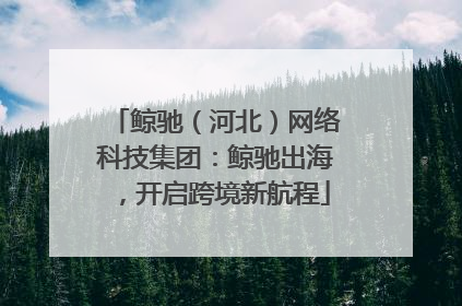 鲸驰（河北）网络科技集团：鲸驰出海，开启跨境新航程
