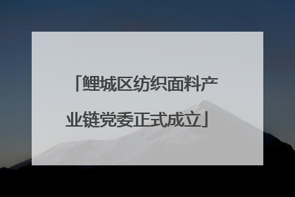 鲤城区纺织面料产业链党委正式成立