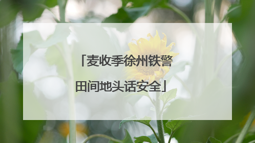 麦收季徐州铁警田间地头话安全