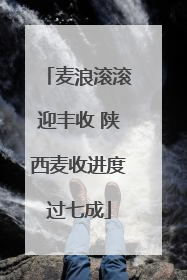 麦浪滚滚迎丰收 陕西麦收进度过七成