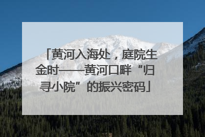 黄河入海处，庭院生金时——黄河口畔“归寻小院”的振兴密码