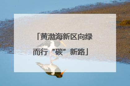 黄渤海新区向绿而行“碳”新路