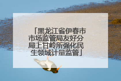 黑龙江省伊春市市场监管局友好分局上甘岭所强化民生领域计量监管