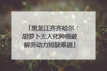 黑龙江齐齐哈尔：胡萝卜无人化种植破解劳动力短缺难题