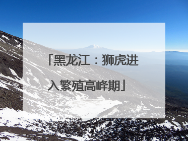 黑龙江：狮虎进入繁殖高峰期