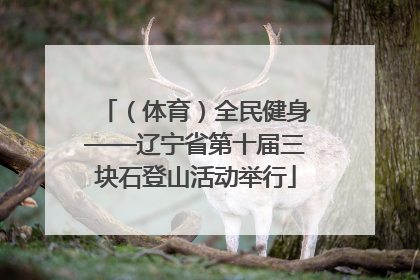 （体育）全民健身——辽宁省第十届三块石登山活动举行