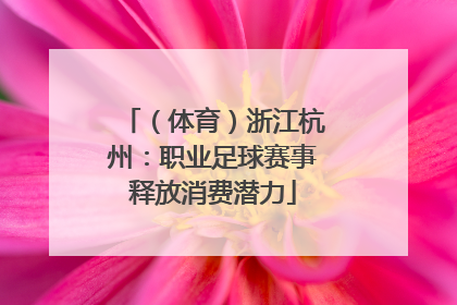 （体育）浙江杭州：职业足球赛事释放消费潜力