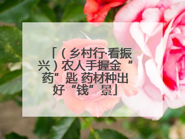 （乡村行·看振兴）农人手握金“药”匙 药材种出好“钱”景
