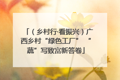 （乡村行·看振兴）广西乡村“绿色工厂” “蔬”写致富新答卷