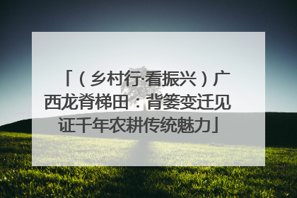 （乡村行·看振兴）广西龙脊梯田：背篓变迁见证千年农耕传统魅力
