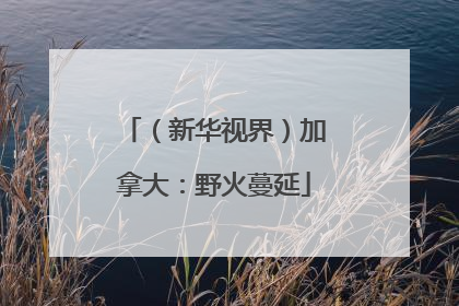 （新华视界）加拿大：野火蔓延