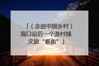 （走进中国乡村）海口最后一个渔村捕文旅“新鱼”