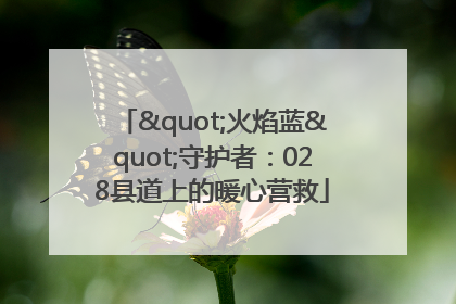 "火焰蓝"守护者：028县道上的暖心营救