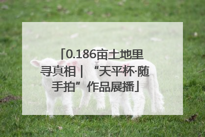 0.186亩土地里寻真相｜“天平杯·随手拍”作品展播