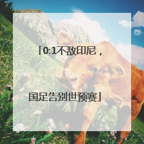 0:1不敌印尼，国足告别世预赛