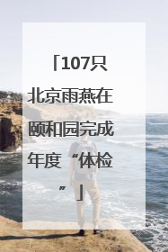 107只北京雨燕在颐和园完成年度“体检”
